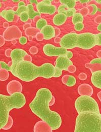 Healthcare Infections Bacteria Infection